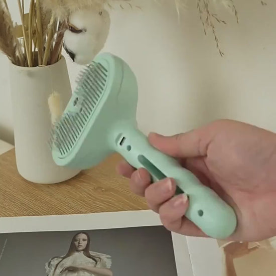 Steam pet grooming brush for cats and dogs