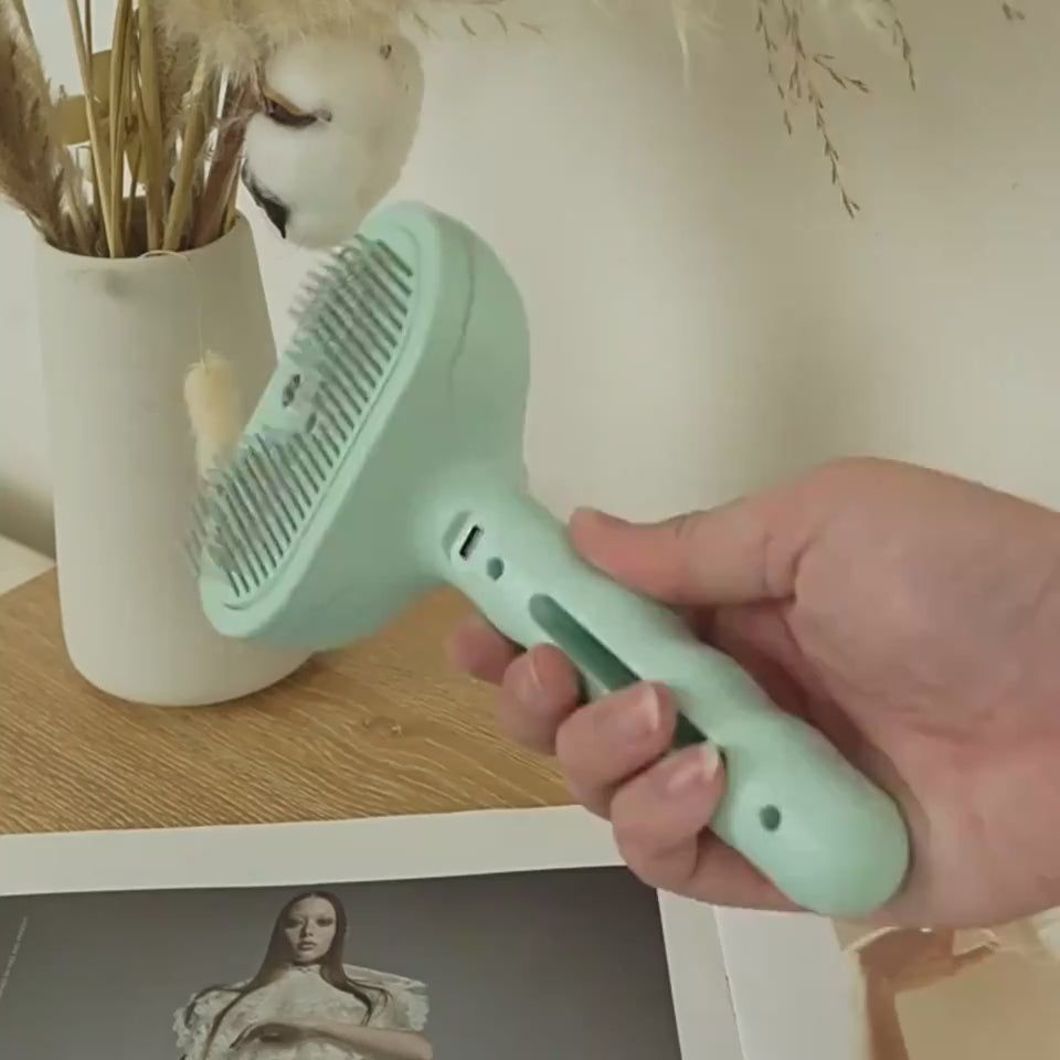 Steam pet grooming brush for cats and dogs